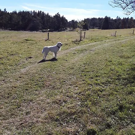 Bed and Breakfast L'auberge Chez Leon 3*